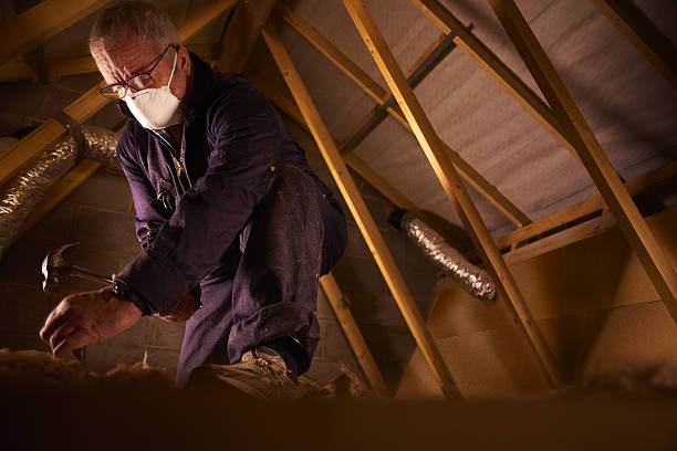 Best Insulation Installation Services in Progress, PA